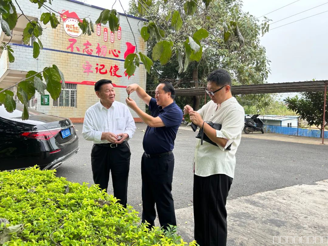 图片 图片