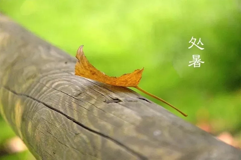 处暑,即为“出暑”